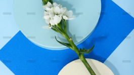 demo-attachment-722-pexels-daria-liudnaya-7354669